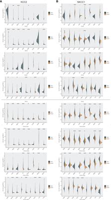 Comprehensive Analysis of the Oncogenic, Genomic Alteration, and Immunological Landscape of Cation-Chloride Cotransporters in Pan-Cancer